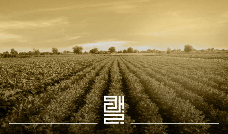 سرمایه گذاری در زمین کشاورزی مقدم بر سرمایه گذاری در املاک است